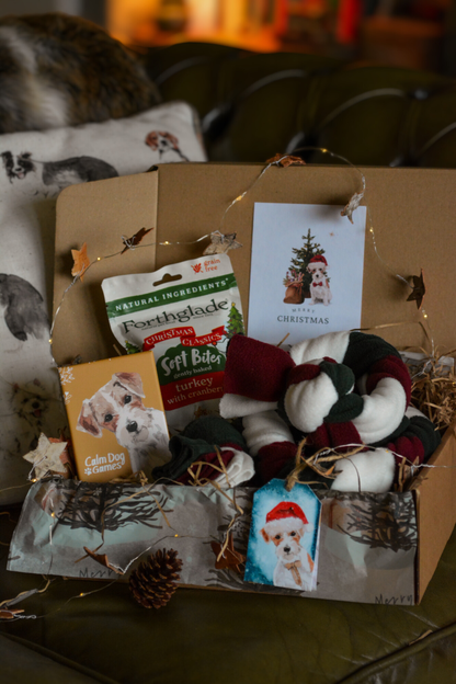 "Favourites" Christmas Gift Box