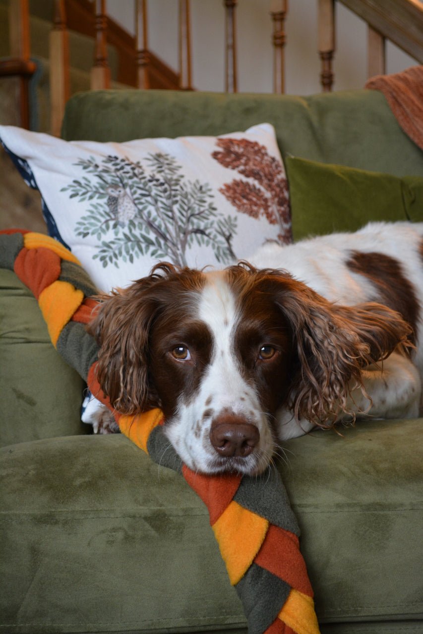 "The Forager’s Plait" – Snuffle Toy Puzzle (X - Large) - Calm Dog Games