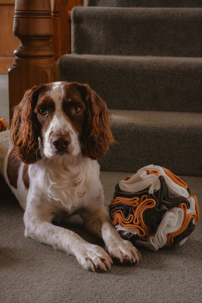 "The Snufflepuff" - Snuffle Ball Enrichment Toy (X - Large) - Calm Dog Games
