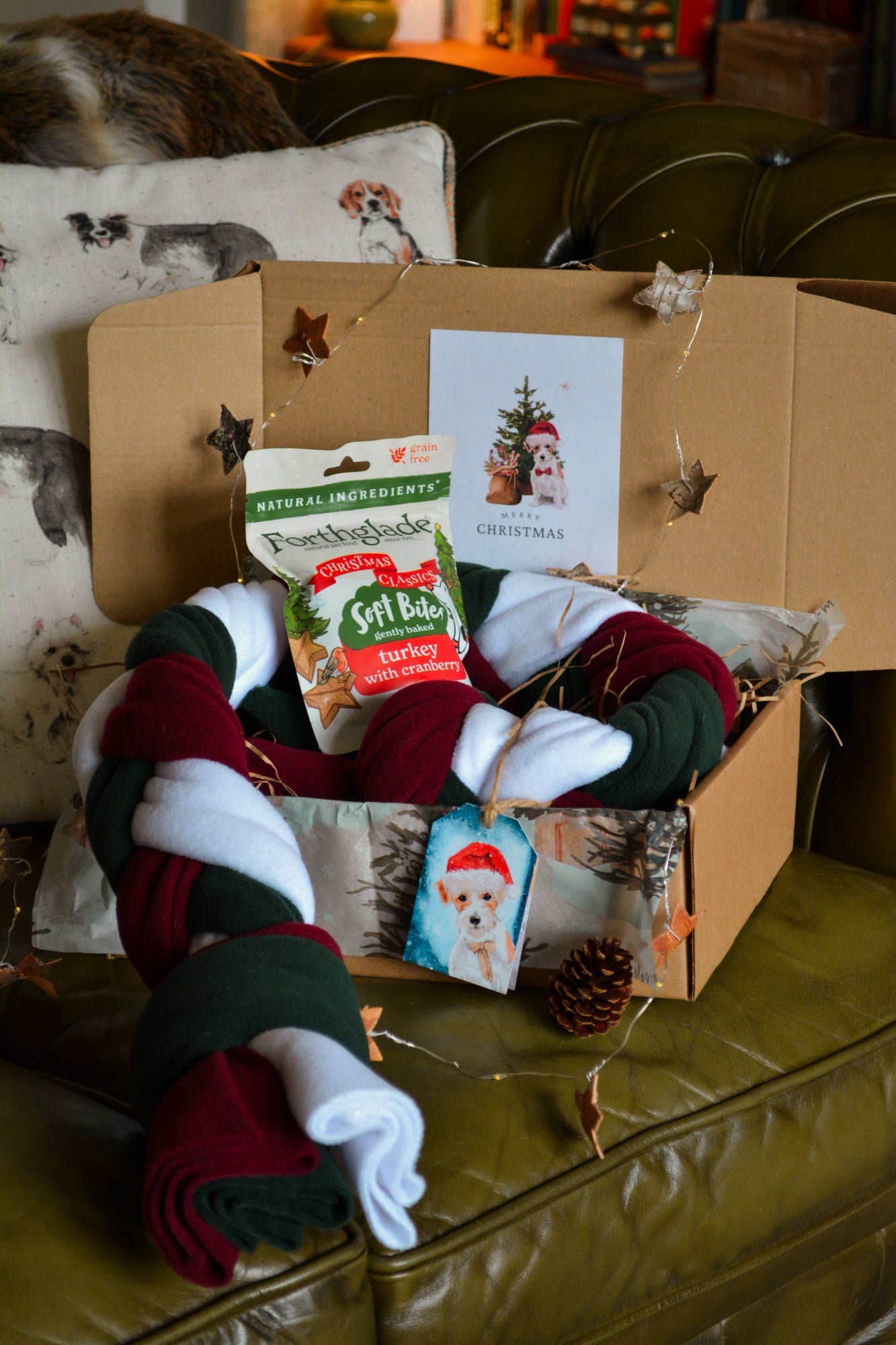 "The Yule Giant" Christmas Gift Box - Calm Dog Games