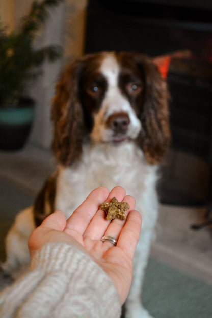 "The Yule Giant" Christmas Gift Box - Calm Dog Games