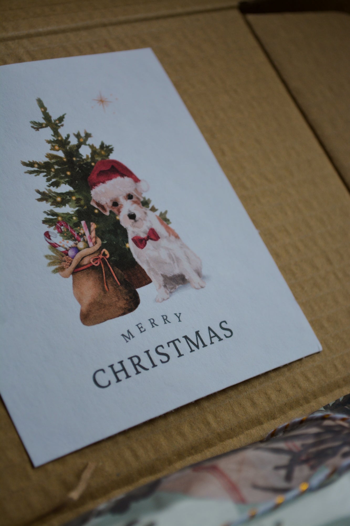 "The Yule Giant" Christmas Gift Box - Calm Dog Games