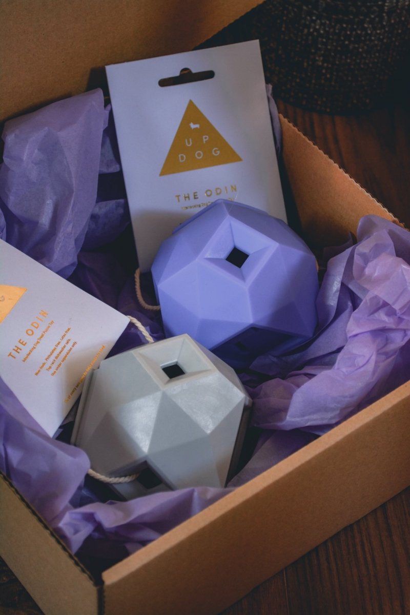Stunning Stretching And Flexing Interactive Treat Dispensers image