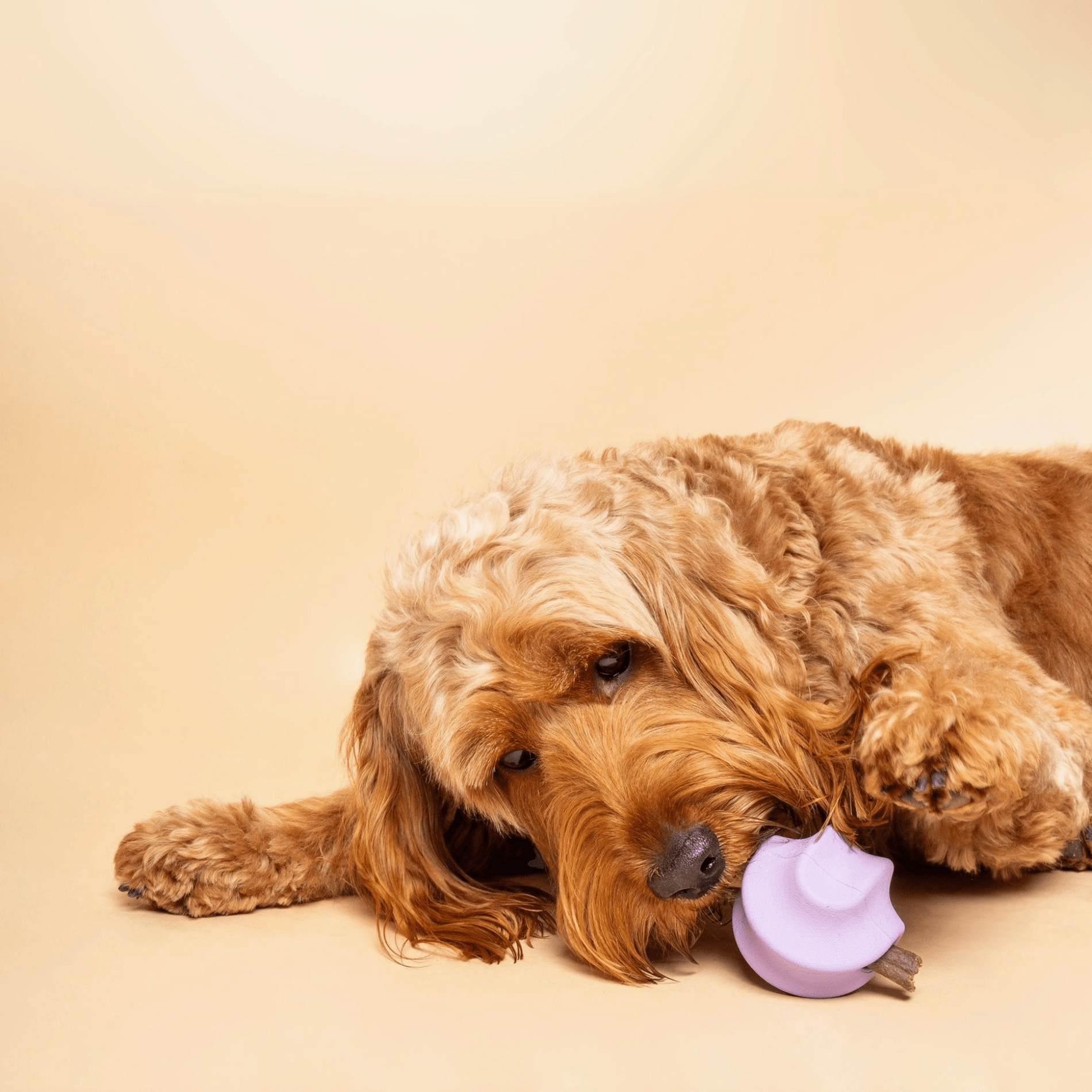 Tumble Twist - Enrichment Toy - Calm Dog Games