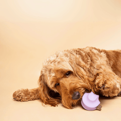 Tumble Twist - Enrichment Toy - Calm Dog Games