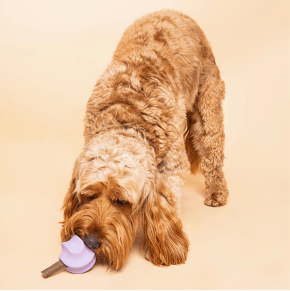 Tumble Twist - Enrichment Toy - Calm Dog Games