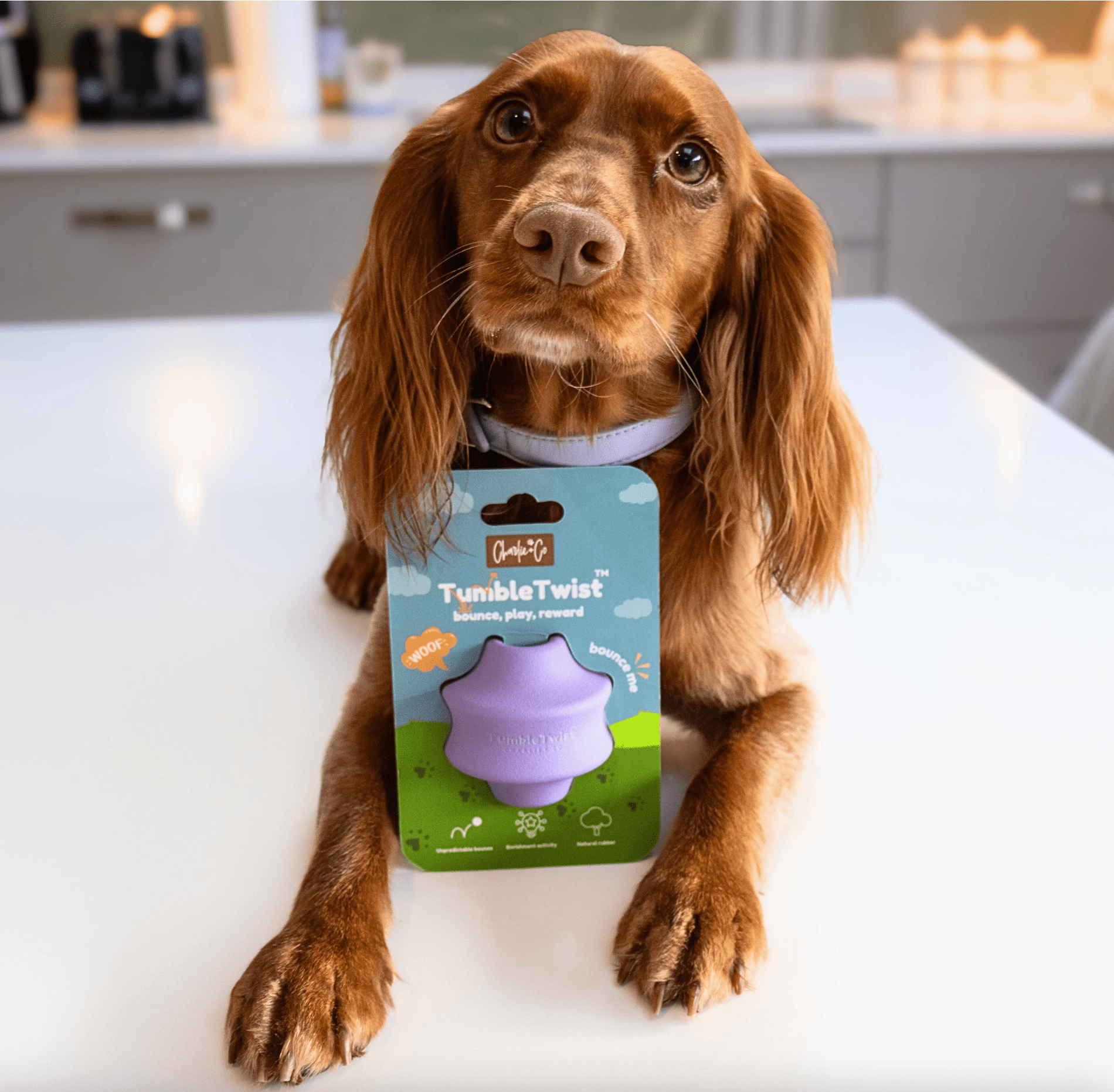 Tumble Twist - Enrichment Toy - Calm Dog Games