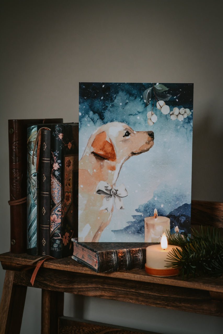 Winter's Realm Velvet Cards - Calm Dog Games